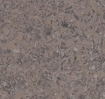 Линолеум Tarkett iq Megalit GRAPHITE BROWN 0621 фото 1 | FLOORDEALER